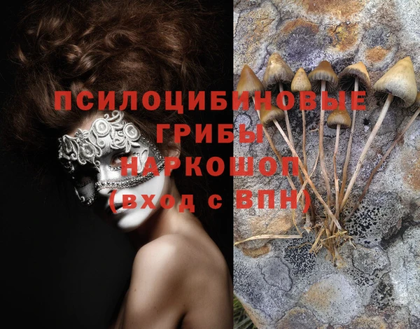 СК Касимов