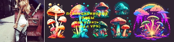 СК Касимов
