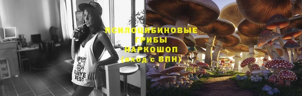 дмт Карпинск