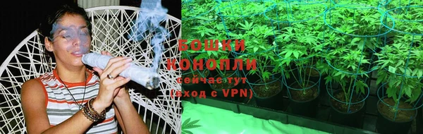 СК Касимов